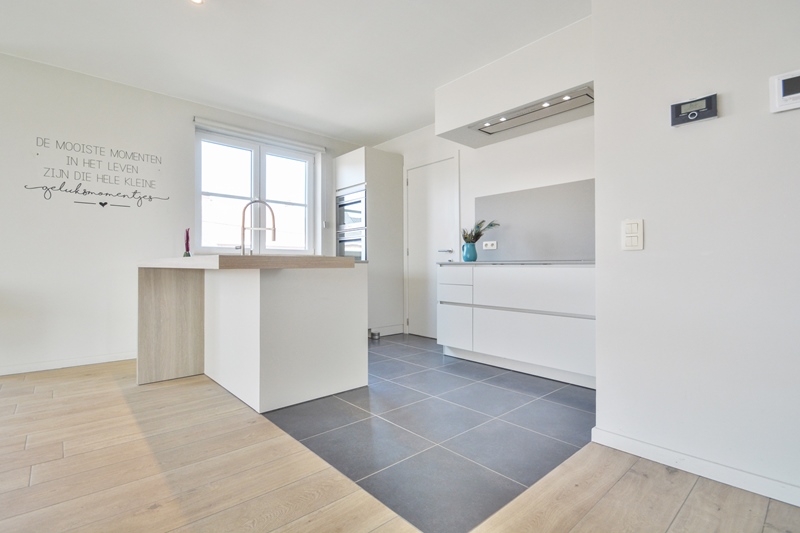 At the home of an enterprising woman and her dog - 4