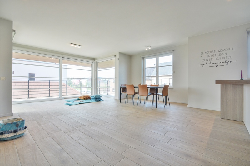 At the home of an enterprising woman and her dog - 2