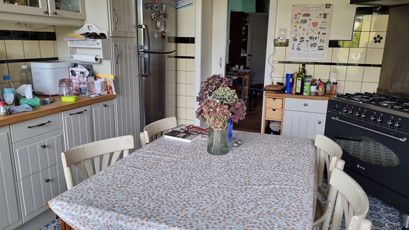 Large room + bathroom center Mol - 3