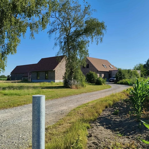 Spacious, bright, rural house looking for an extra co-houser - 2