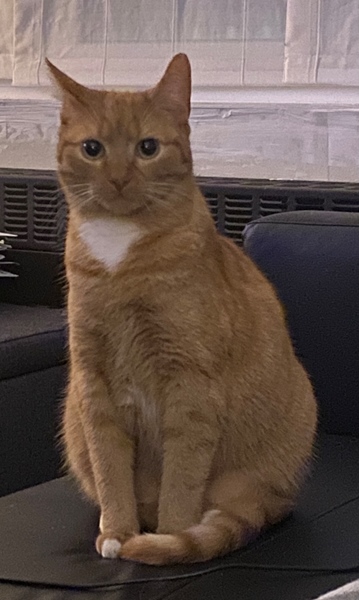 Cohousing on the 2nd floor - 3