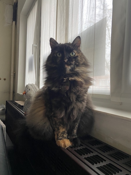 Cohousing on the 2nd floor - 2