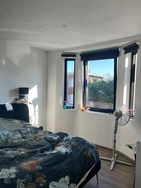 Cozy cohouse in Muizen is looking for a new resident - 2