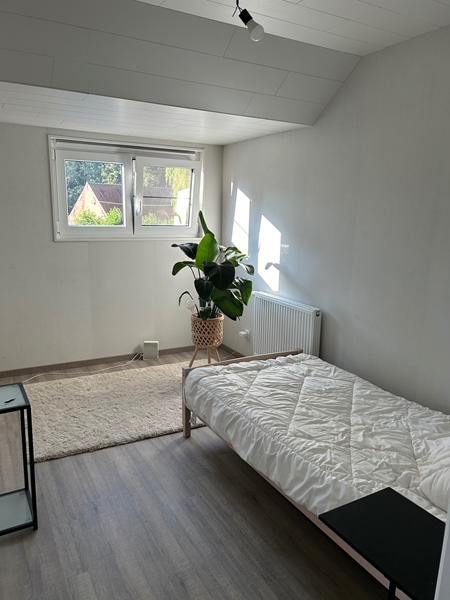 Room with shared areas - 4