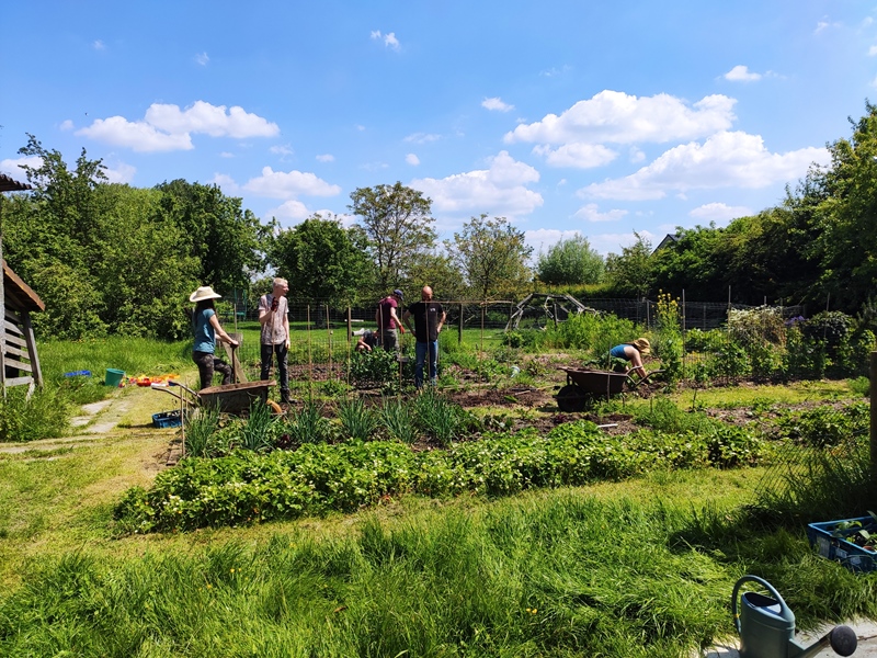 Cohousing écologique à Poesele - 10 personnes, valeurs durables