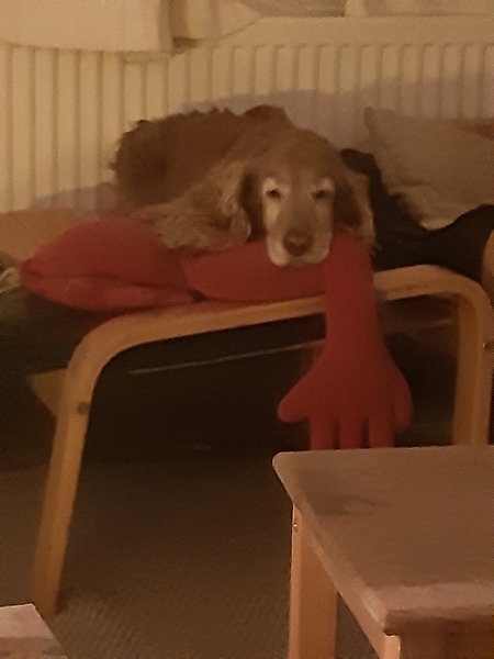 1 to 2 rooms available - 2