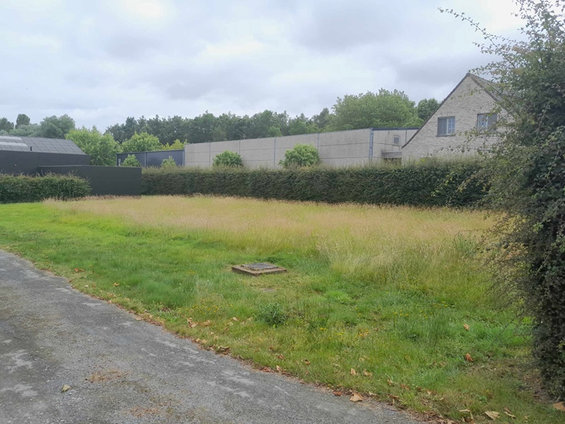 Large hangar, garden and house become a cohouse space - 2