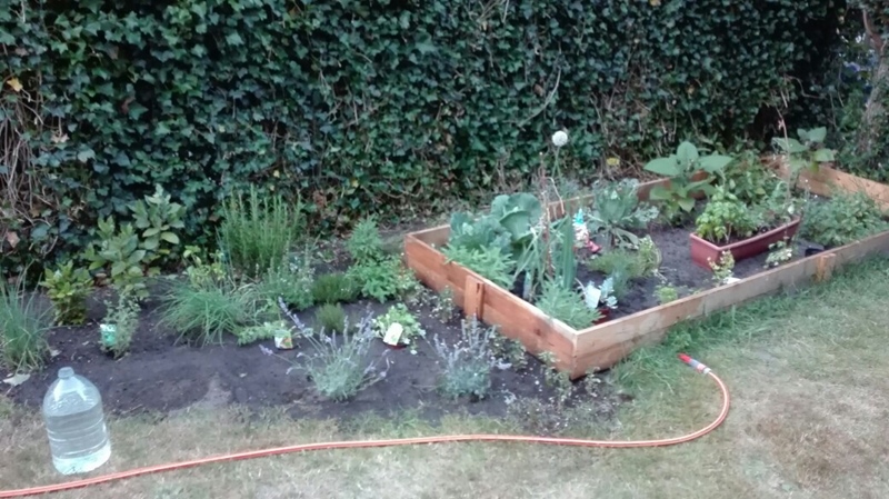 1 co-resident Age 35-60+ approximately early 2026 - 2