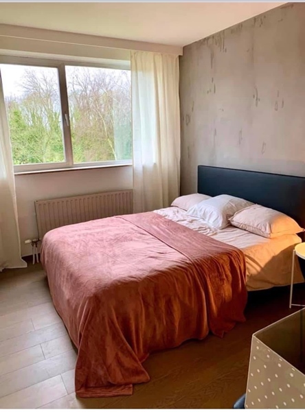 Cool urban art apartment in the green outskirts of Ghent - 4