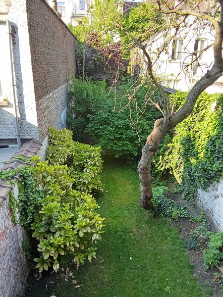 2 rooms in a charming mansion (June to August) - 5