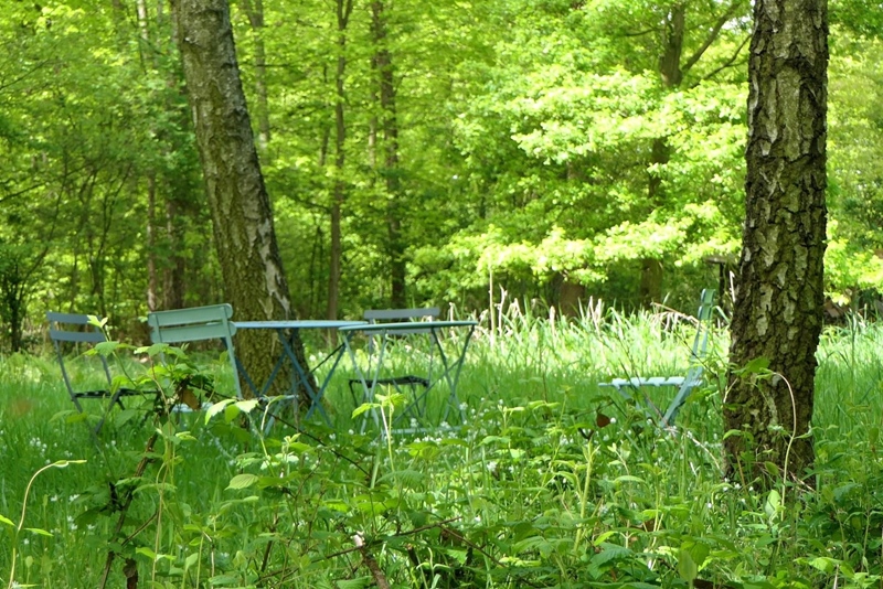 Room in an old farm on a beautiful estate - 3