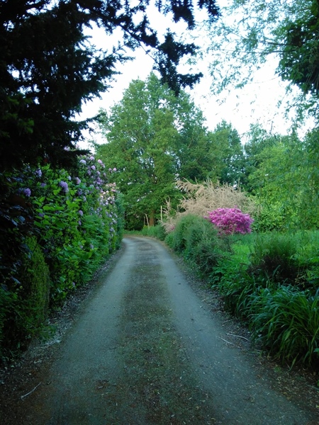 Room in an old farm on a beautiful estate - 4