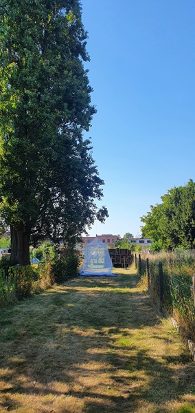 Room in quiet area - 5