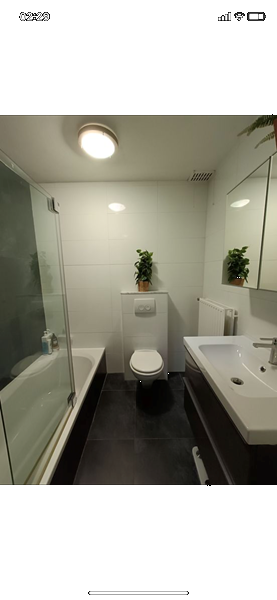 two strong girls who can live together and share the costs - 4