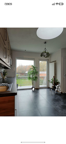 two strong girls who can live together and share the costs - 5