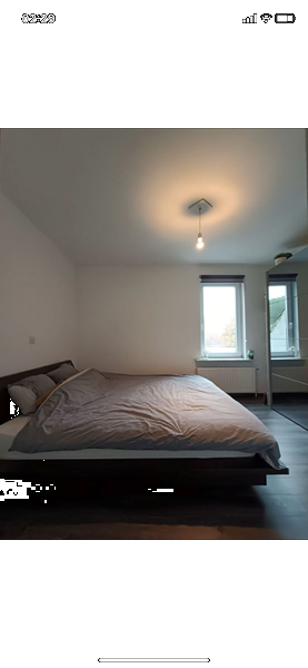 two strong girls who can live together and share the costs - 3