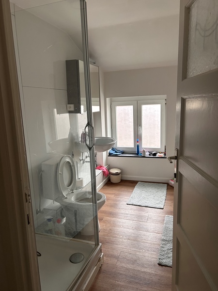 Centrally located house with large backyard - 3