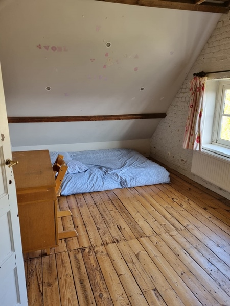 Looking for a new roommate - 2