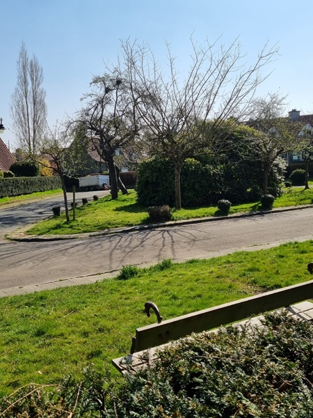 Looking for a new roommate - 5