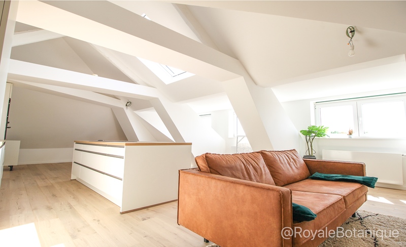 2 bedrooms in a renovated top-floor apartment - 2