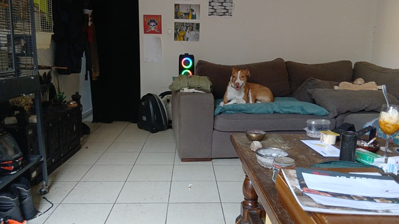 House Wijnegem to share - 3