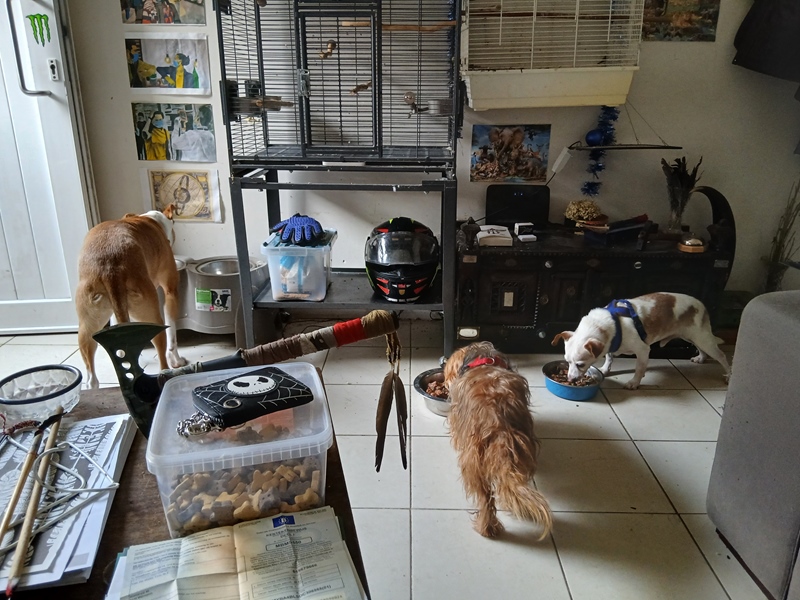 House Wijnegem to share - 4