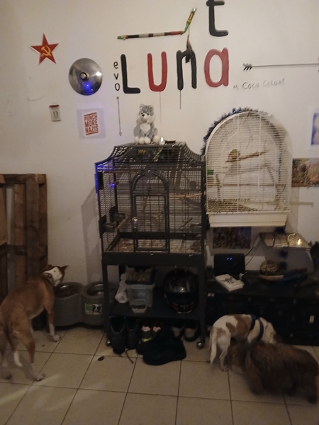 House Wijnegem to share - 2