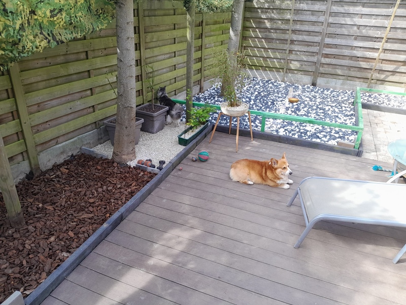 Spacious room for rent in Wilsele - 3