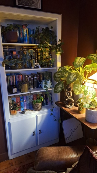 Cohousing in Wilsele is looking for a roommate - 4