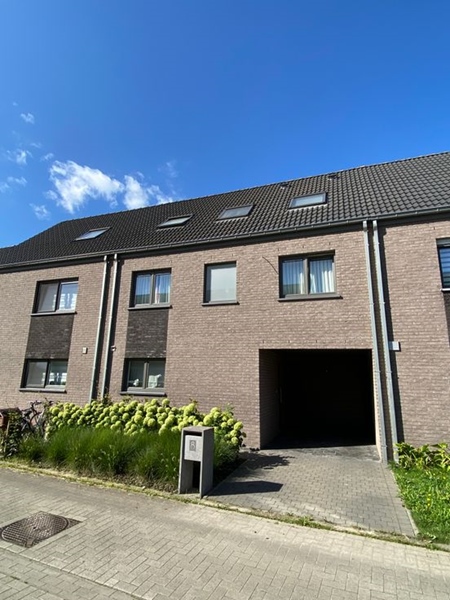 Two housemates wanted for cozy co-housing in Ghent/W - 2