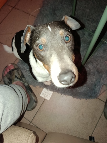 House 3 bedrooms - 2