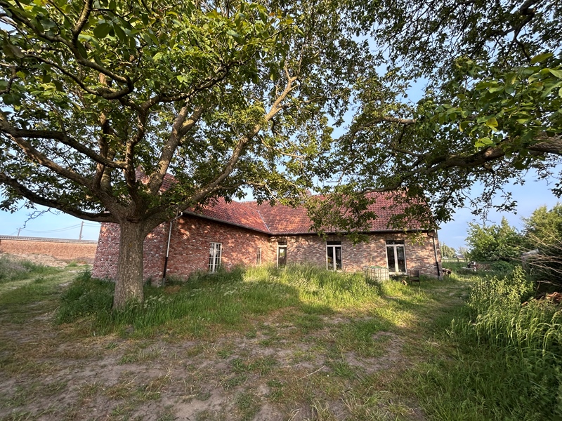 Secluded spacious home - 4